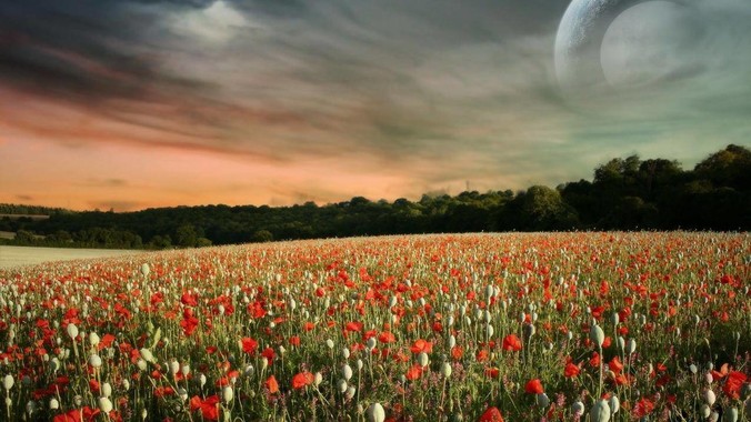 如何评价vue作者尤雨溪?